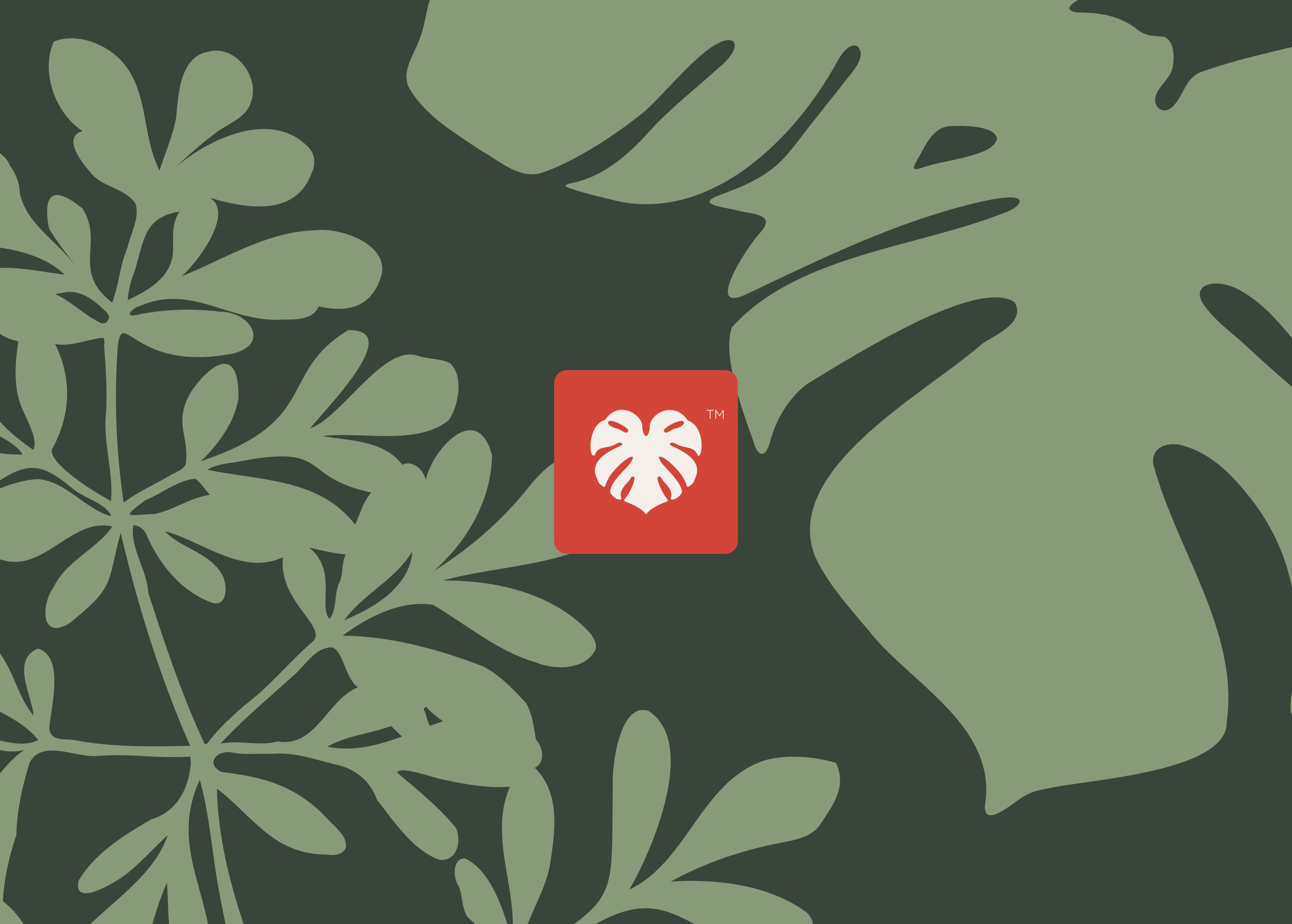 Hero Alquimias da Jandira — folhagem e badge monstera