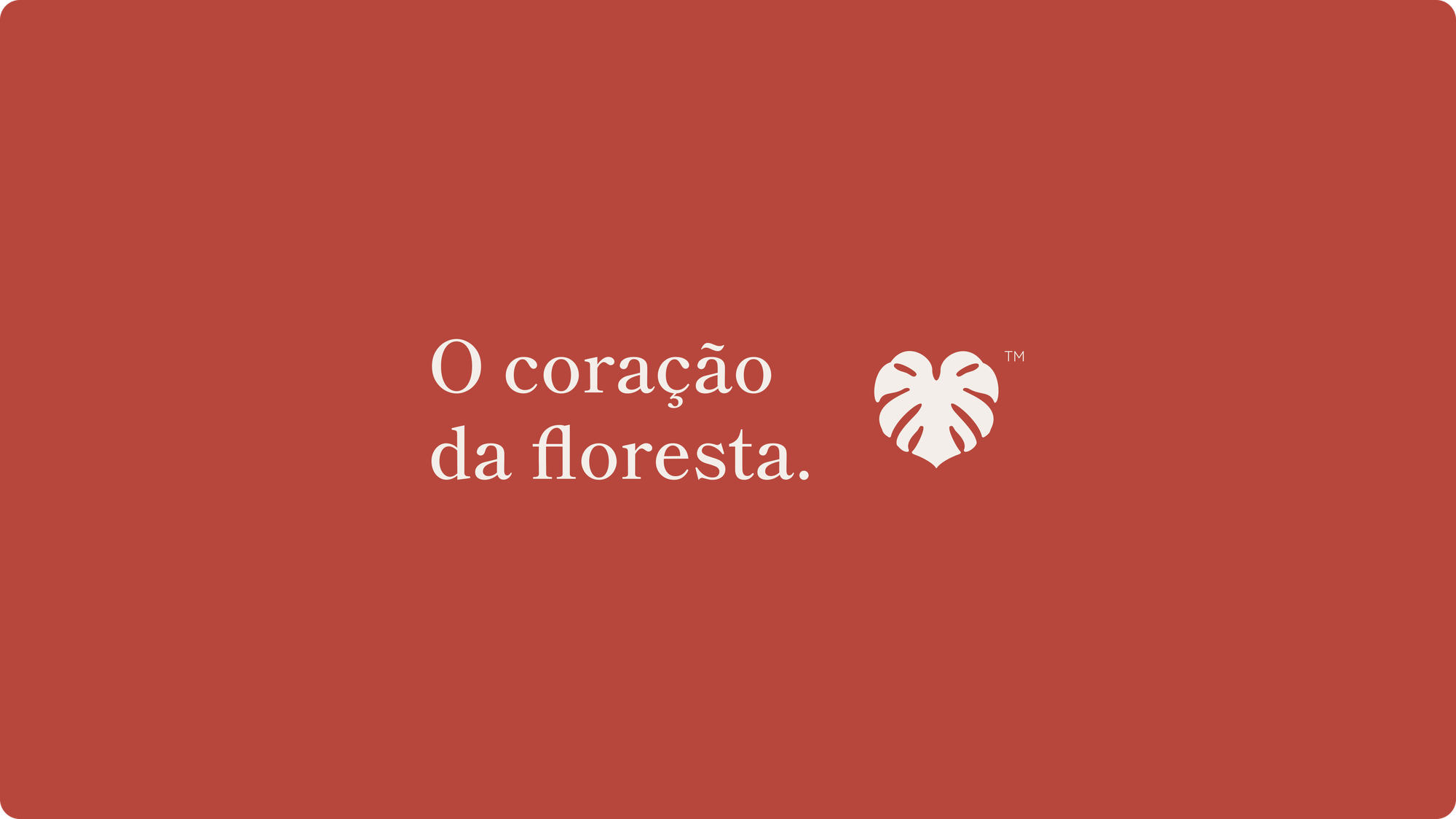 O coração da floresta — Alquimias da Jandira